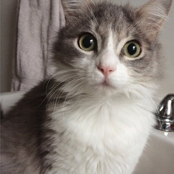 Meet Your Posher, Kendra ๐ - Picture 2 of 4